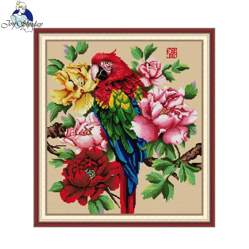 Embroidery Meaning - Vreugde Zondag Mooie Papegaai Patroon Borduurpakket