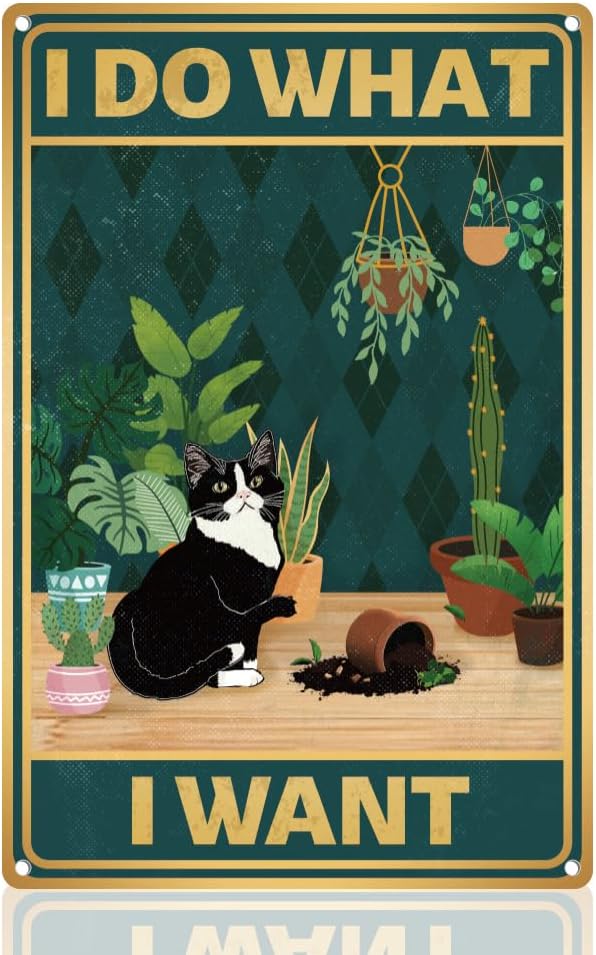 Y1, Schattig Katje Breekt Bloe - Embroidery Garden recensie en prijs