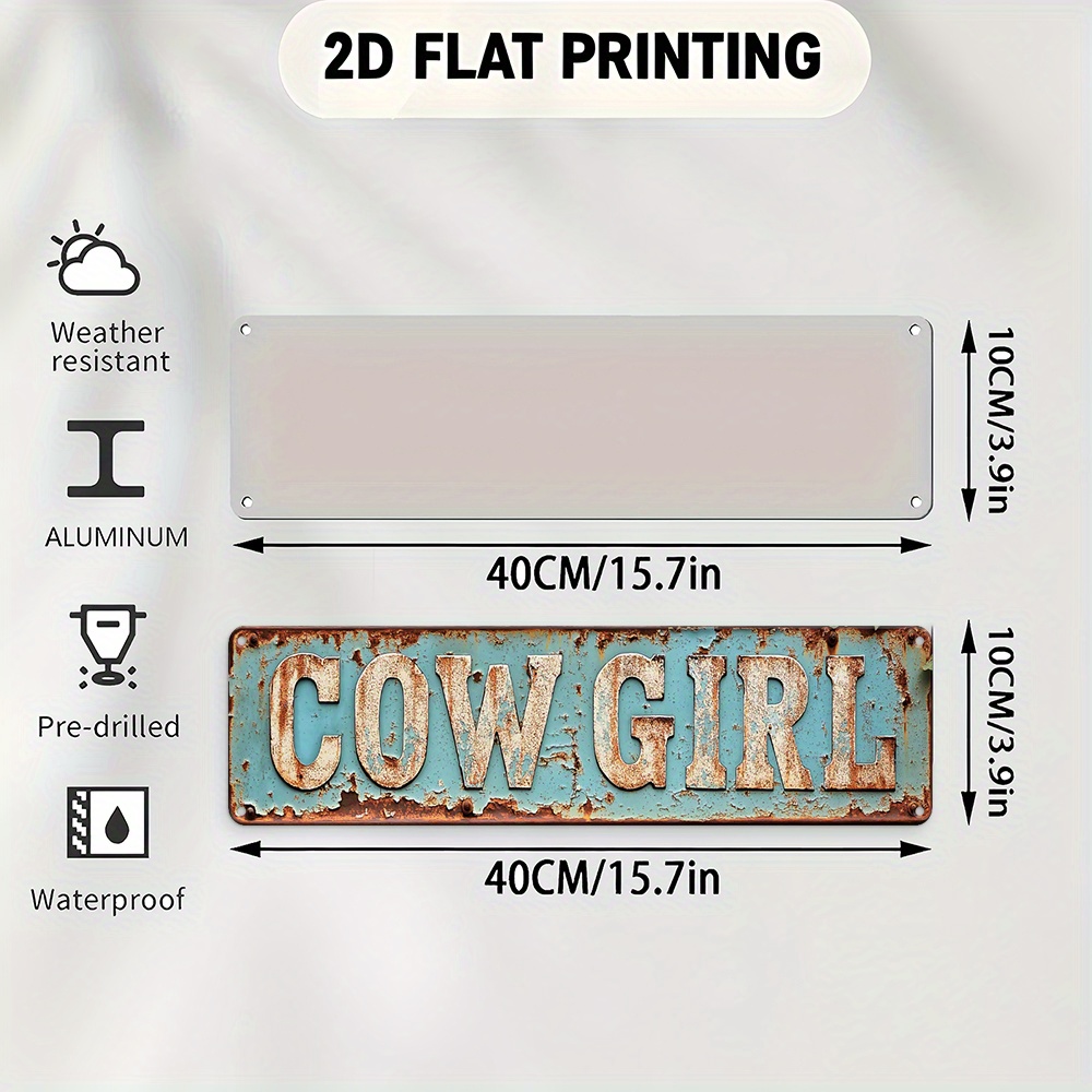 2D Metal Cowgirl Wall Art - Vi - Embroidery Garden recensie en prijs