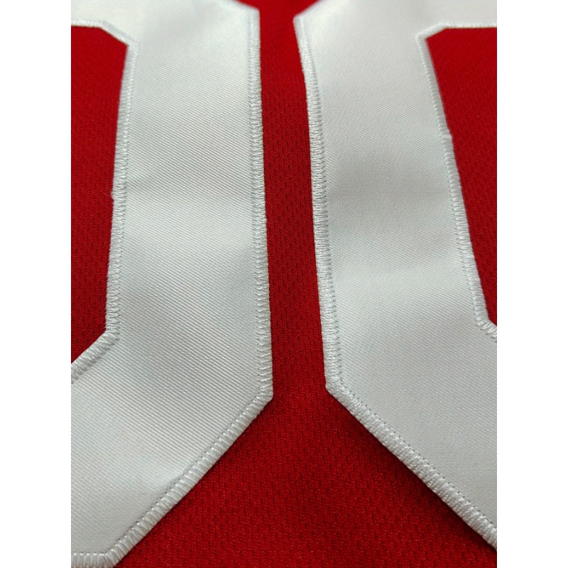 Aangepaste naam en nummer bask - Embroidery Jersey recensie en prijs