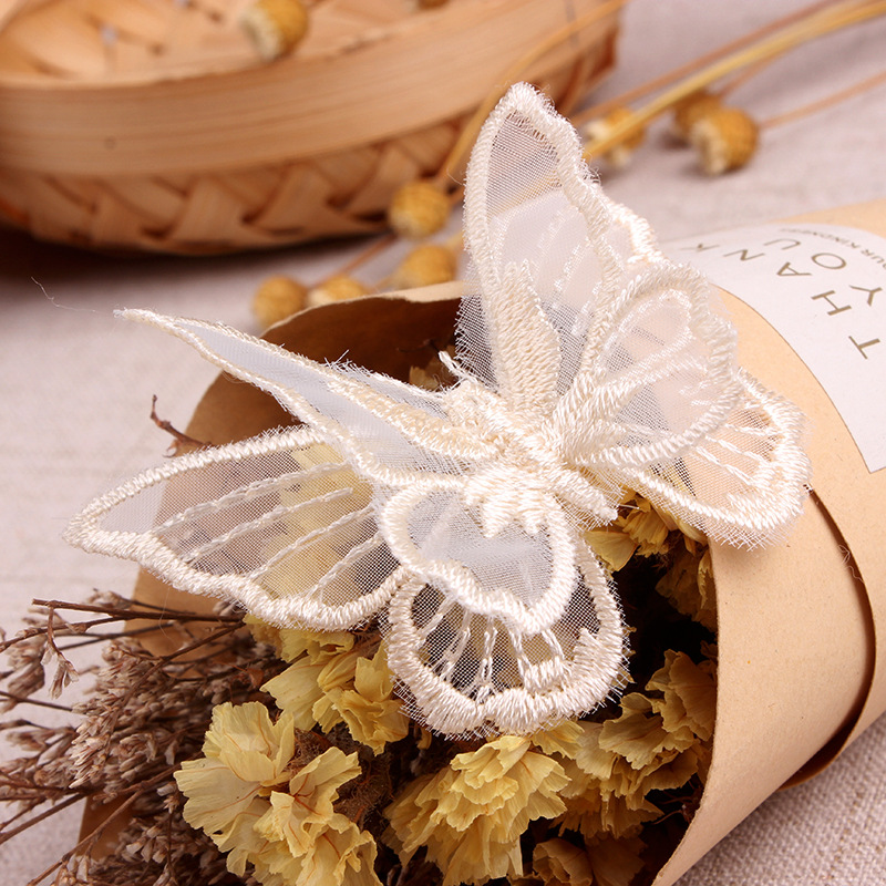 Beige Kant Pauw Vlinder Patche - Embroidery Letter M recensie en prijs