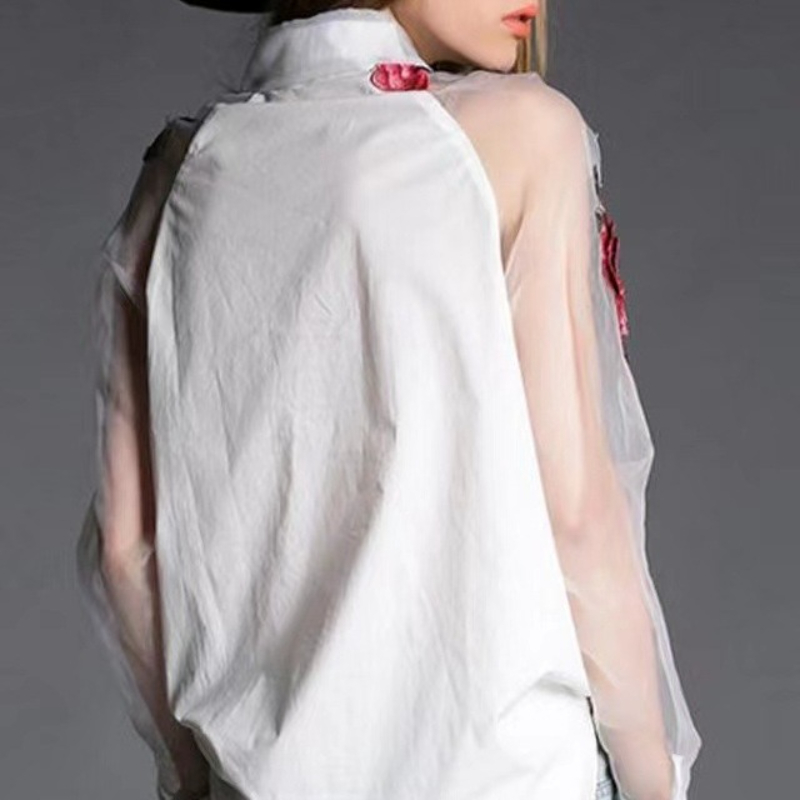 Damesmode chiffon blouse met b - Embroidery Jersey recensie en prijs
